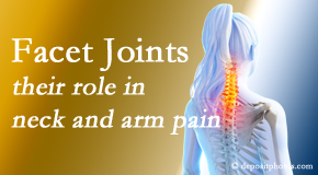 Old Mill Chiropractic carefully examines, diagnoses, and treats cervical spine facet joints for neck pain relief when they are involved.