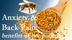 Old Mill Chiropractic presents info on the benefits of bee pollen on cognitive function that may be impaired when dealing with back pain.