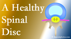 Your St Peters chiropractor loves seeing a healthy intervertebral disc and helps the not so healthy one recover.