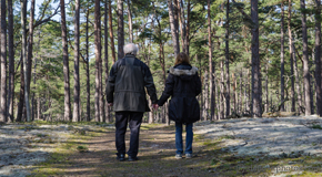 St Peters chiropractic treatment plan with walking as exercise for back pain relief