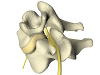 cervical spine no pain with St Peters chiropractic