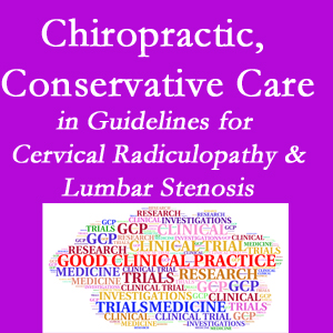 St Peters chiropractic care for cervical radiculopathy and lumbar spinal stenosis is often ignored in medical studies and recommendations despite documented benefits. 