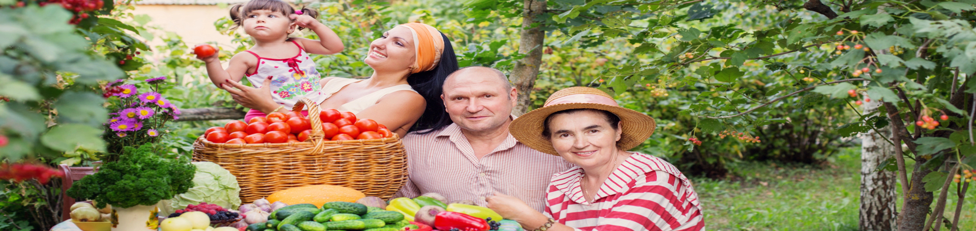 St Peters chiropractic summer health tips