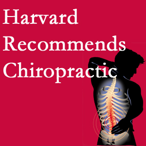 Old Mill Chiropractic offers chiropractic care like Harvard recommends.