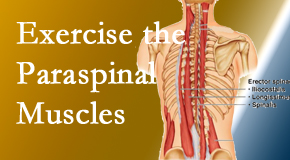 Old Mill Chiropractic explains the importance of paraspinal muscles and their strength for St Peters back pain relief.