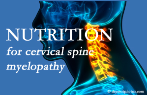 Old Mill Chiropractic presents the nutritional factors in cervical spine myelopathy in its development and management.