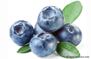 St Peters chiropractic and nutritious blueberries